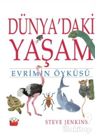 Dünya'daki Yaşam
