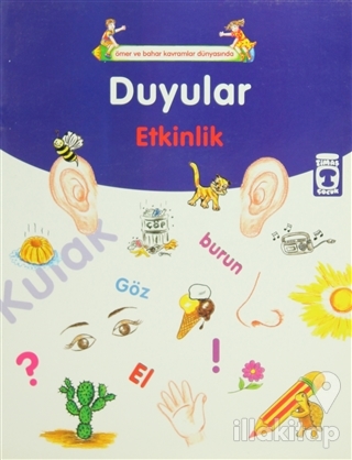Duyular Etkinlik