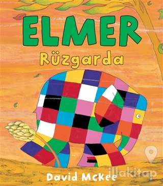 Elmer Rüzgarda