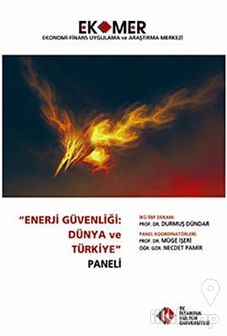 Enerji Güvenliği : Dünya ve Türkiye Paneli 2010