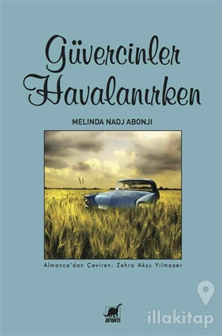 Güvercinler Havalanırken