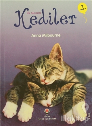 İlk Okuma - Kediler