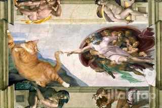 Kedi ve Tanrı