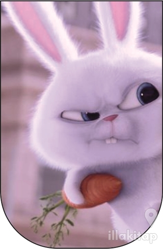 Kızgın Tavşan - 10'lu Ayraç