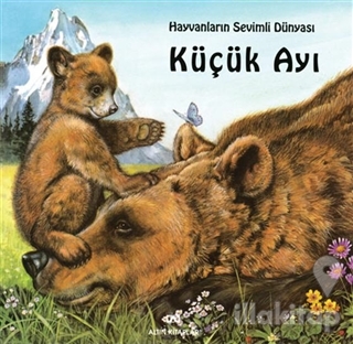 Küçük Ayı (Ciltli)