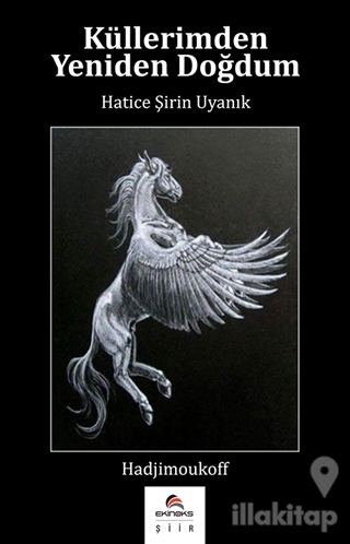 Küllerimden Yeniden Doğdum