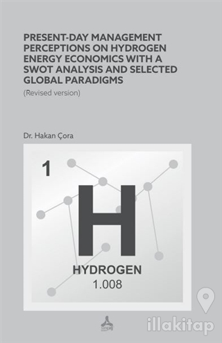 Present-Day Management Perceptions on Hydrogen Energy Economics whit A
