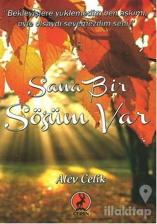 Sana Bir Sözüm Var