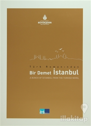 Türk Romanından Bir Demet İstanbul (Ciltli)
