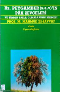 Hz. Peygamber ( s.av )'in Pak Zevceleri Ve Birden Fazla Olmalarının Hikmeti