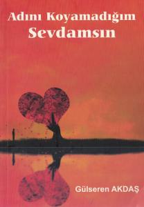 Adını Koyamadığım Sevdamsın