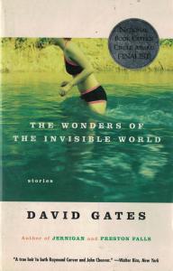 The Wonders Of The Invisible World The Wonders Of The Invisible World