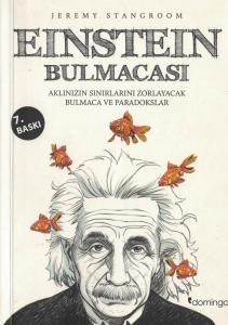 Einstein Bulmacası Aklınızın Sınırlarını Zorlayacak Bulmaca ve Paradokslar