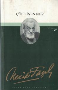 Çöle İnen Nur Çöle İnen Nur