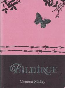 Bildirge