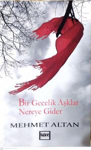 Bir Gecelik Aşklar Nereye Gider Bir Gecelik Aşklar Nereye Gider