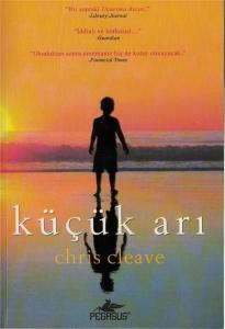 Küçük Arı Küçük Arı