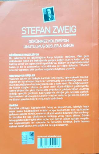 Görünmez Koleksiyon & Unutulmuş Düşler & Karda Stefan Zweig Mavi Çatı 
