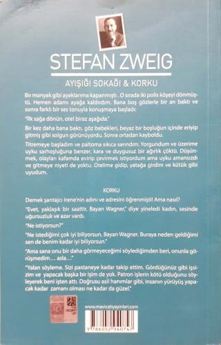 Ayışığı Sokağı & Korku Stefan Zweig Mavi Çatı Yayınları