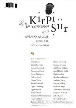 Kirpi Şiir Dergisi Sayı: 7 Aralık 2020-Ocak 2021 - Kolektif | Yeni ve 