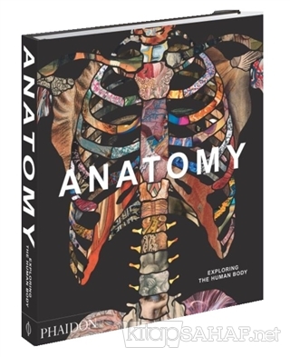 Anatomy (Ciltli) - Kolektif | Yeni ve İkinci El Ucuz Kitabın Adresi