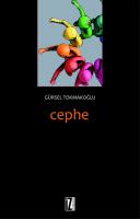 Cephe