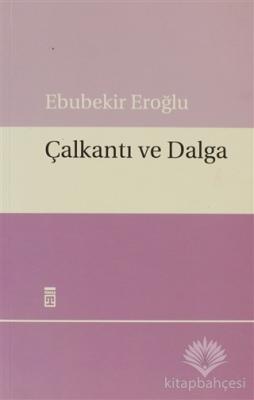 Çalkantı ve Dalga