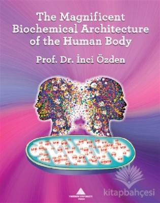 The Magnificent Biochemical Architecture of the Human Body