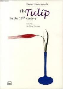 The Tulip In The 18th Century
