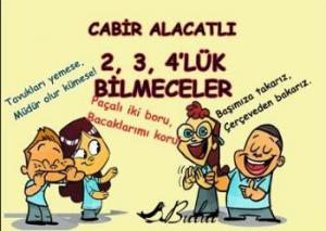 2, 3, 4'lük Bilmeceler; 8+ Yaş