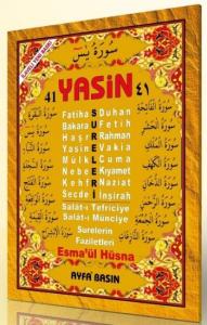 41 Yasin (Cep Boy-2 Renk-Arapça)
