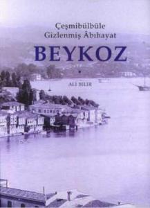 Çeşmibülbüle Gizlenmiş Abıhayat Beykoz