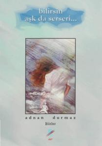 Bilirsin Aşk da Serseri