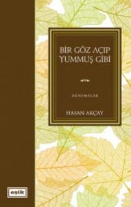 Bir Göz Açıp Yummuş Gibi
