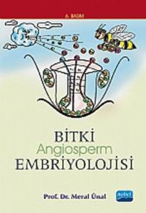 Bitki Embriyolojisi Angiosperm