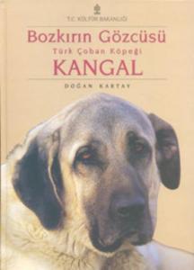 Bozkırın Gözcüsü Türk Çoban Köpeği-Kangal