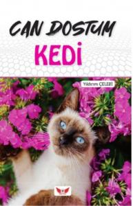 Can Dostum Kedi