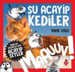 Acayip Seyler Dizisi 13 Su Acayip Isik Ve Renk Tarik Uslu
