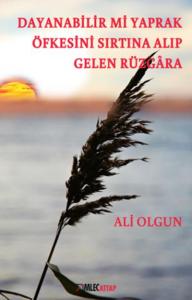 Dayanabilir mi Yaprak Öfkesini Sırtına Alıp Gelen Rüzgâra