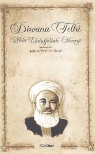 Dîwana Fethî; Mela Ebdulfettah Hezroyi