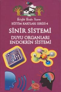 Eğitim Kartları Serisi 4 Sinir Sistemi Duyu Organları Endokrin Sistemi
