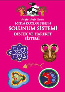 Eğitim Kartları Serisi 5 Solunum Sistemi Destek ve Hareket Sistemi
