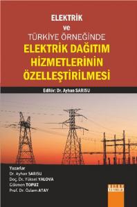 Elektrik Dağıtım Hizmetlerinin Özelleştirilmesi; Elektrik Ve Türkiye Örneğinde