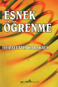 Esnek Öğrenme