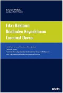 Fikri Hakların İhlalinden Kaynaklanan  Tazminat Davası
