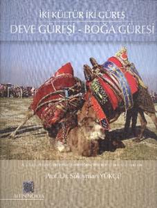 İki Kültür İki Güreş Deve Güreşi - Boğa Güreşi