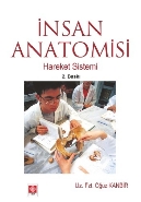İnsan Anatomisi