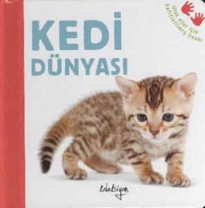 Kedi Dünyası