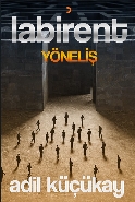 Labirent Yöneliş