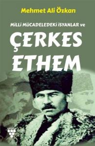 Milli Mücadeledeki İsyanlar ve Çerkes Ethem